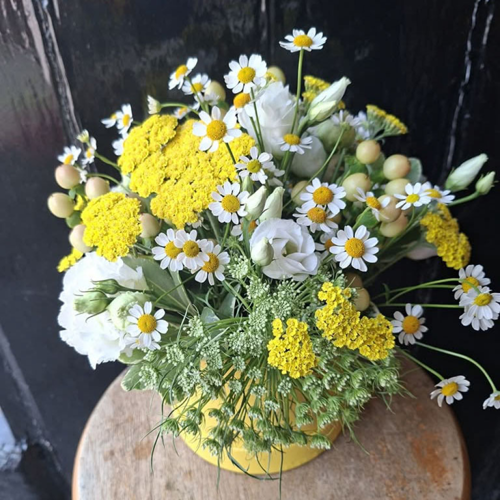 Wild Chamomile Posy Product Image