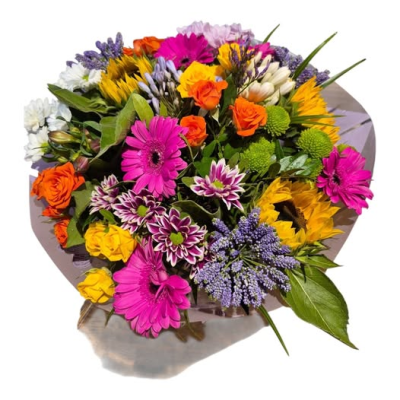 RAINBOWS - a bright and very cheery mix of vibrant colours