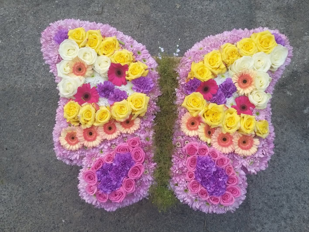 BUTTERFLY Product Image