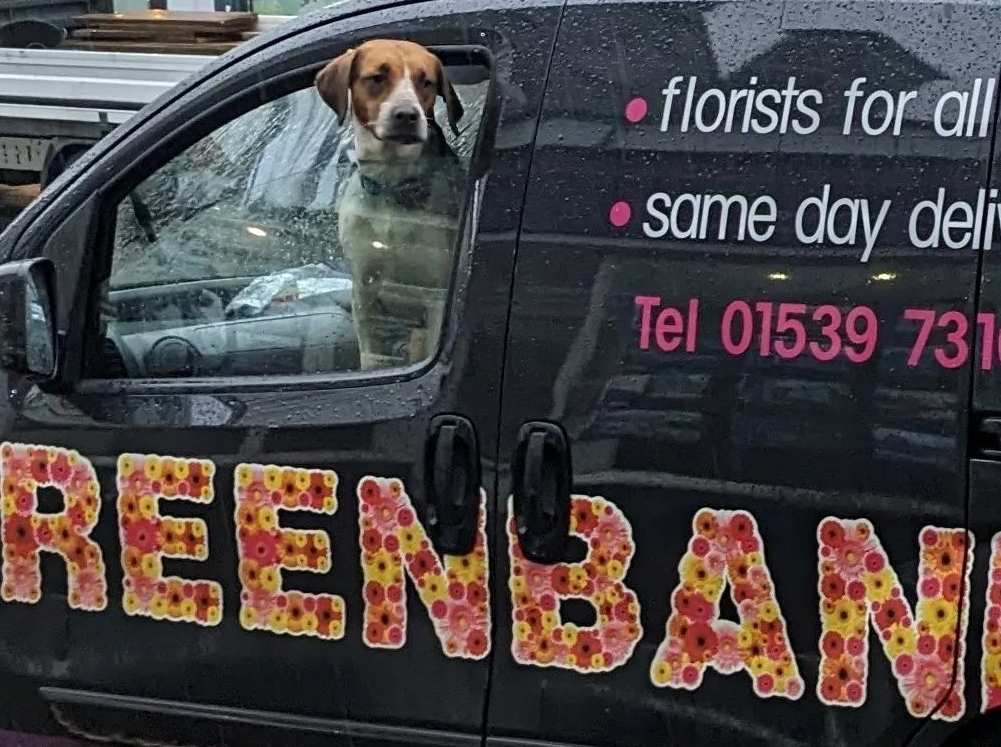 Florists in Kendal Flower Delivery by Greenbanks
